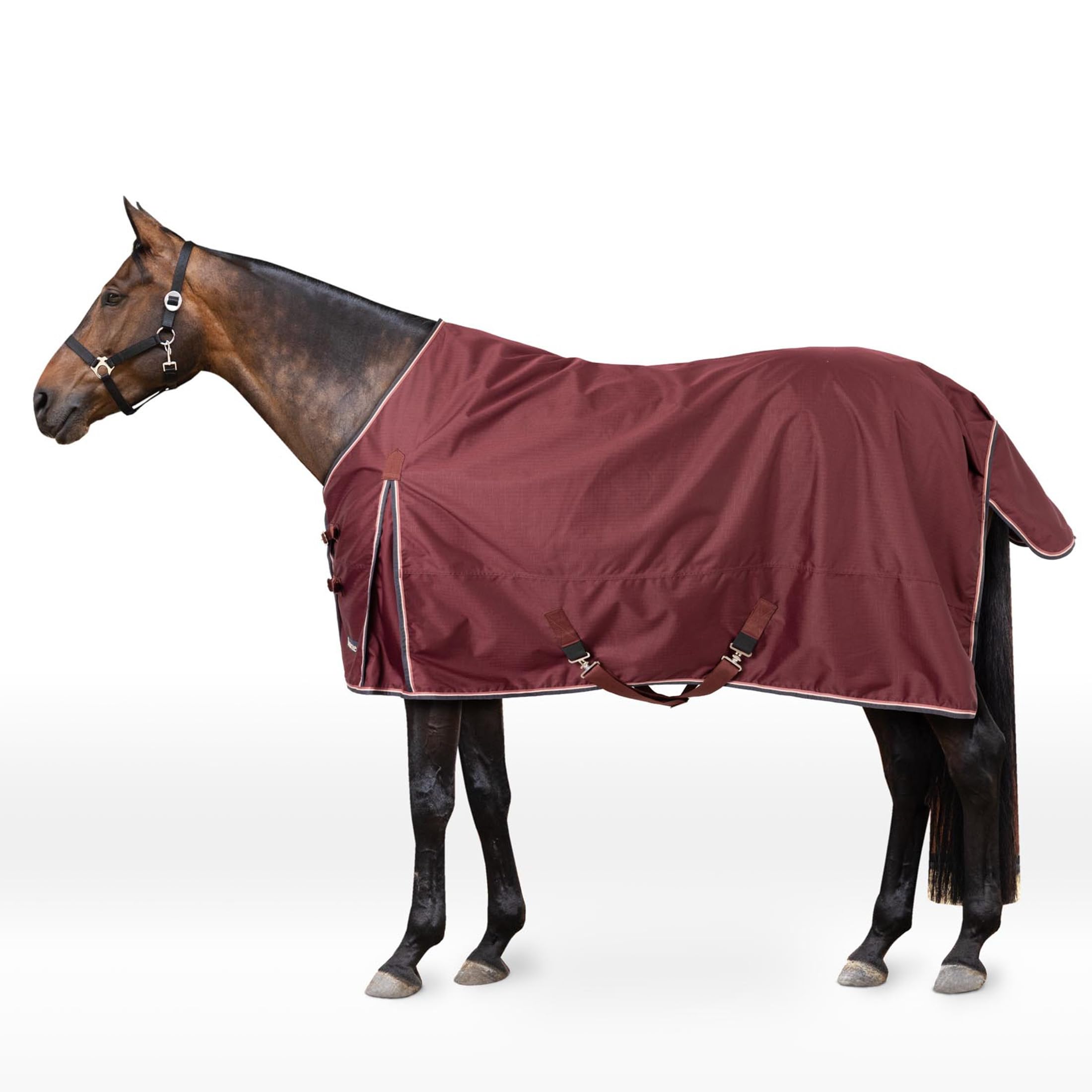 Horze Glasgow cobertor-lluvia-ligero: mantiene al caballo seco y cómodo durante la lluvia.