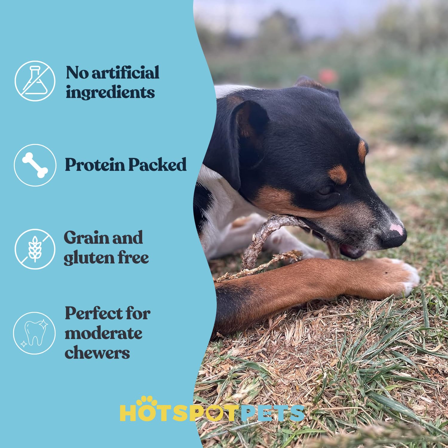 hotspot-pets anillo bully-stick digestible para perros.