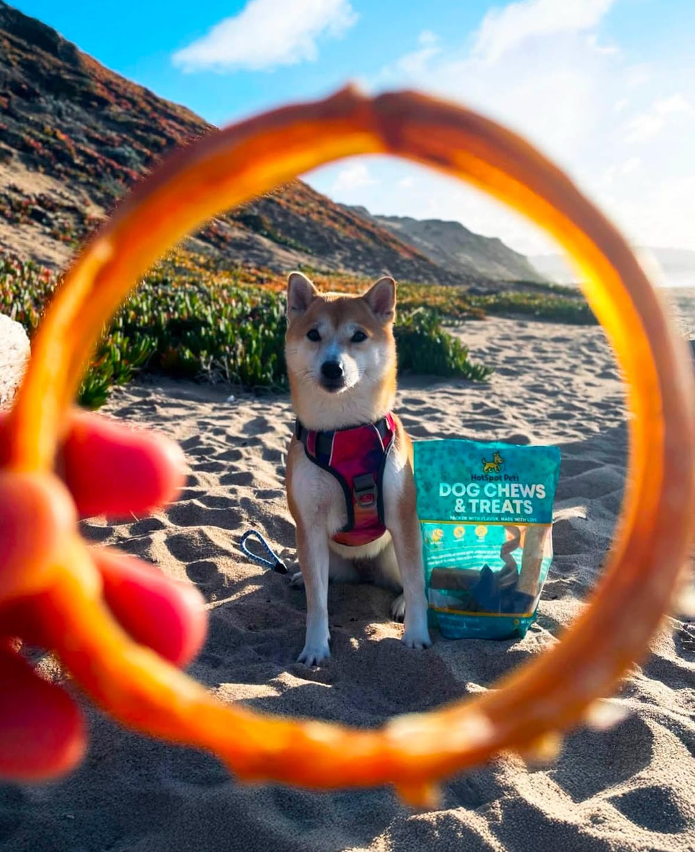 Hotspot Pets Anillos bully-stick entretenimiento para perros activos.
