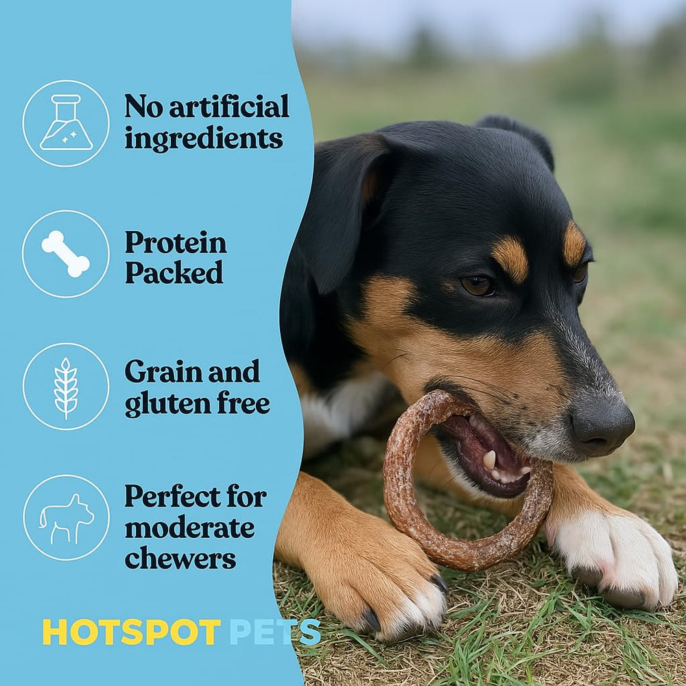 Hotspot Pets Anillos bully-stick sin olor, recompensa limpia para el hogar.