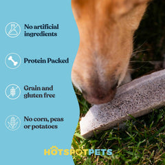 Hotspot Pets, astas de alce de calidad premium con color y densidad consistentes