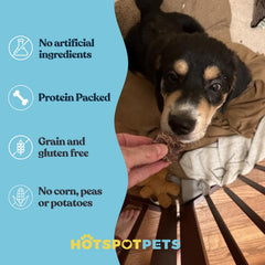 Hotspot Pets Beef Lung Treats, proceso de deshidratación lenta para conservar sabor.