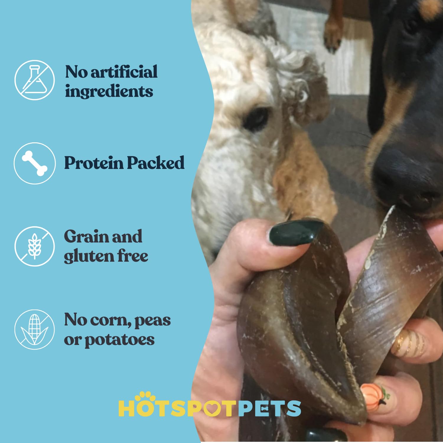 Hotspot Pets cascos de vaca para perro, listos para usar y limpiar.