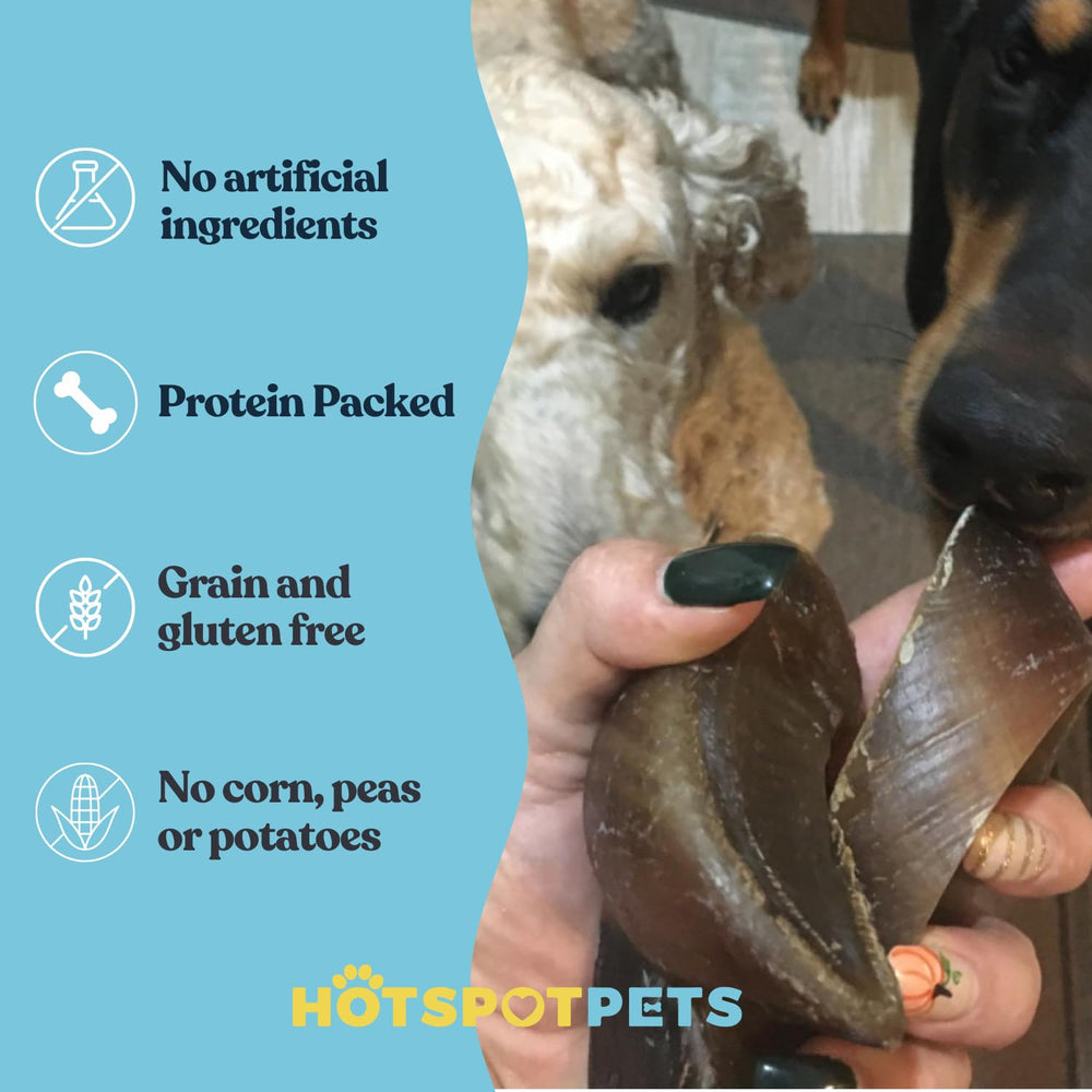 Hotspot Pets cascos de vaca para perro, listos para usar y limpiar.