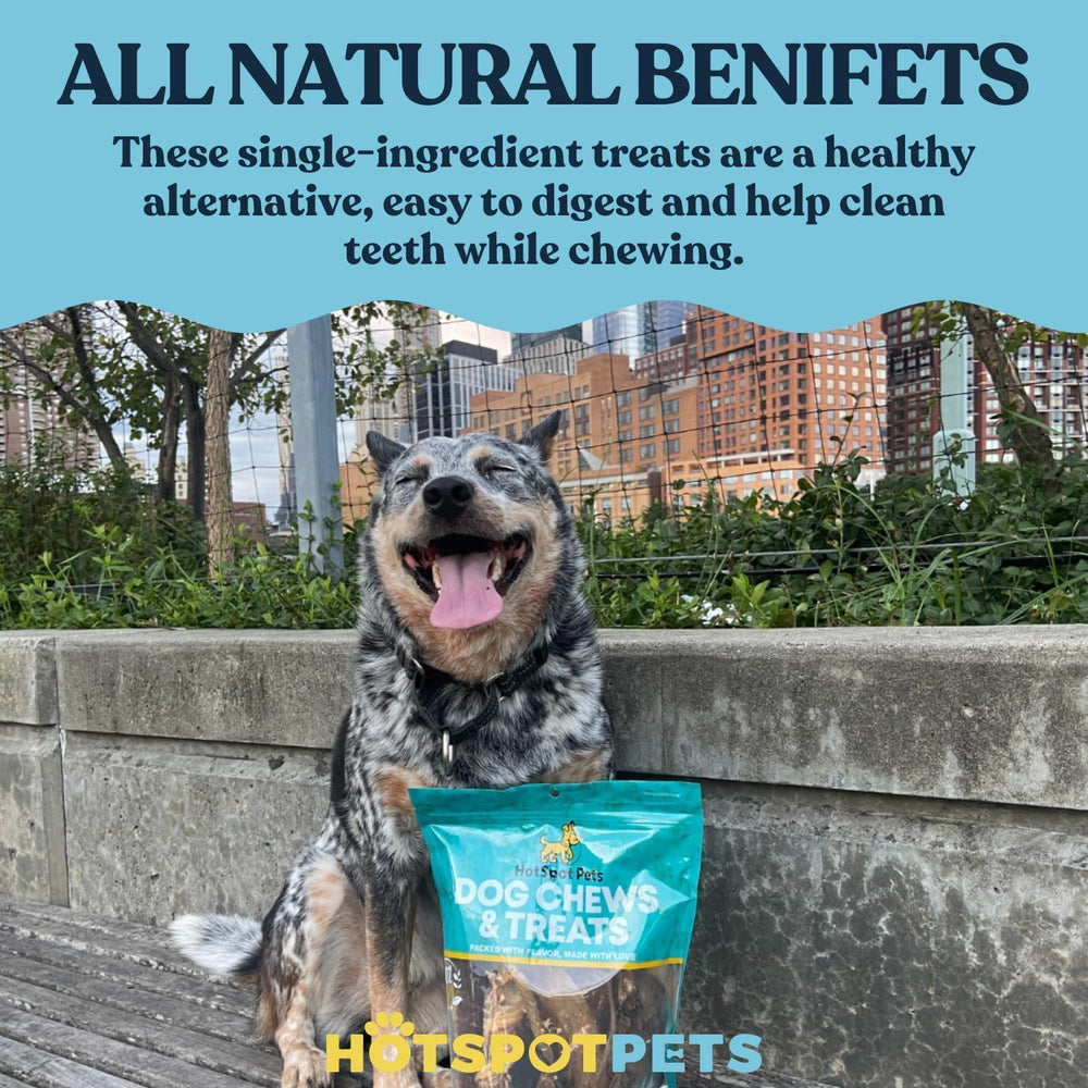 Hotspot Pets cascos de vaca para perro, ayuda a la higiene oral como complemento.