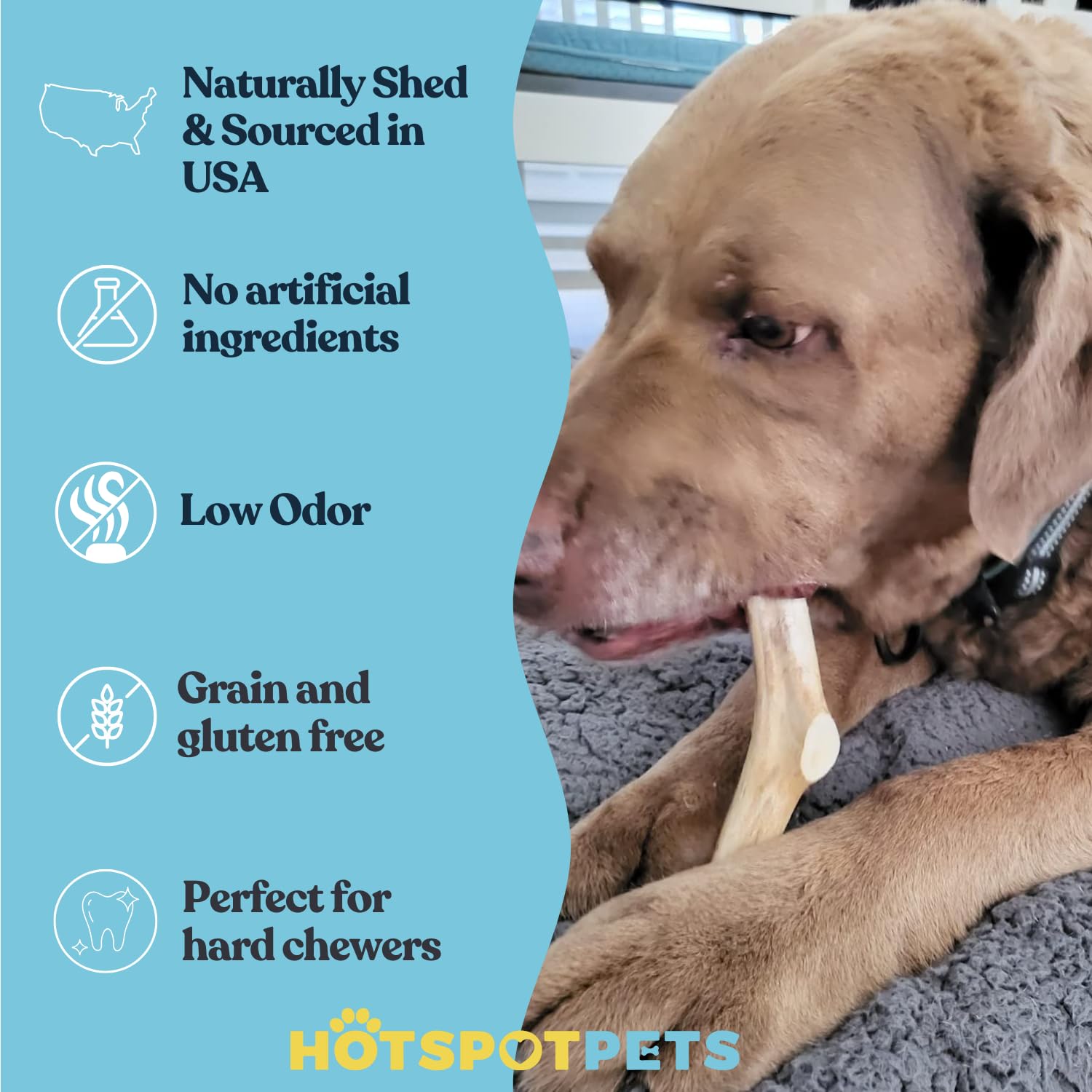 Hotspot Pets masticación de larga duración para perros grandes