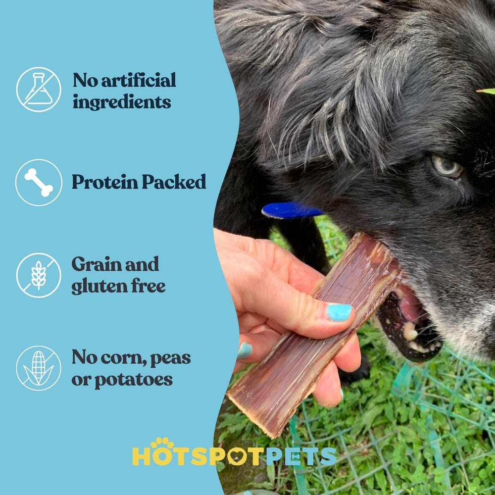 HotSpot Pets, sin hormonas, premio natural para perros de cualquier tamaño.