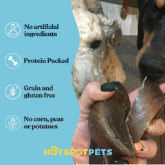 Hotspot Pets masticables de vaca para perros, alternativa a huesos crudos.