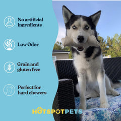 Hotspot Pets masticación duradera para perros grandes.
