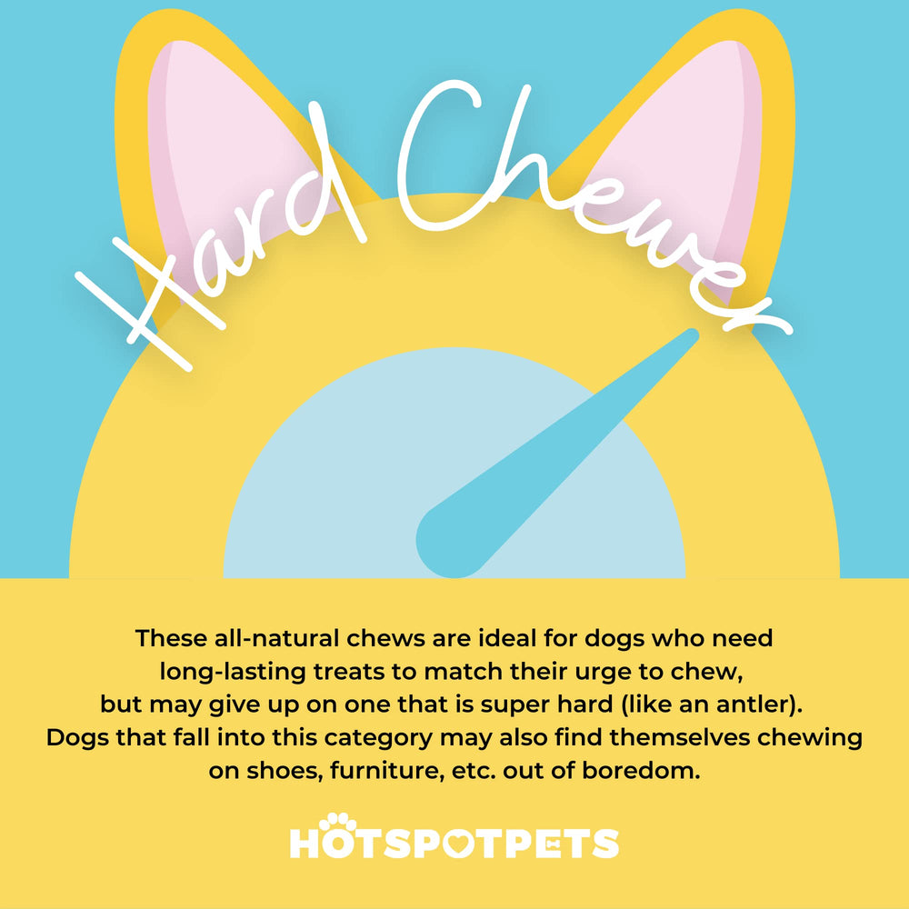 Hotspot Pets paquete de diez huesos crudos para perros grandes.