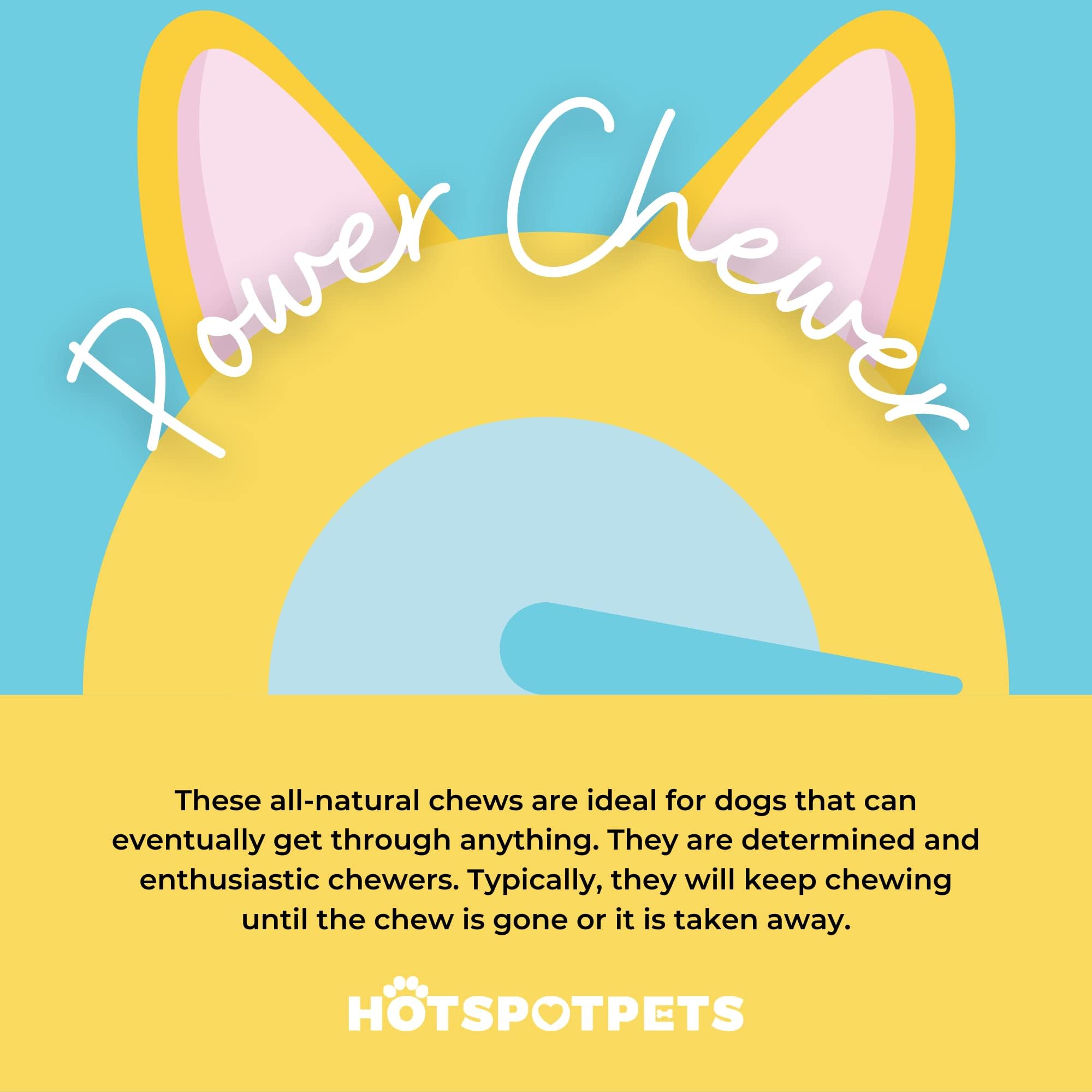 Hotspot Pets uso en interiores y exteriores sin desorden