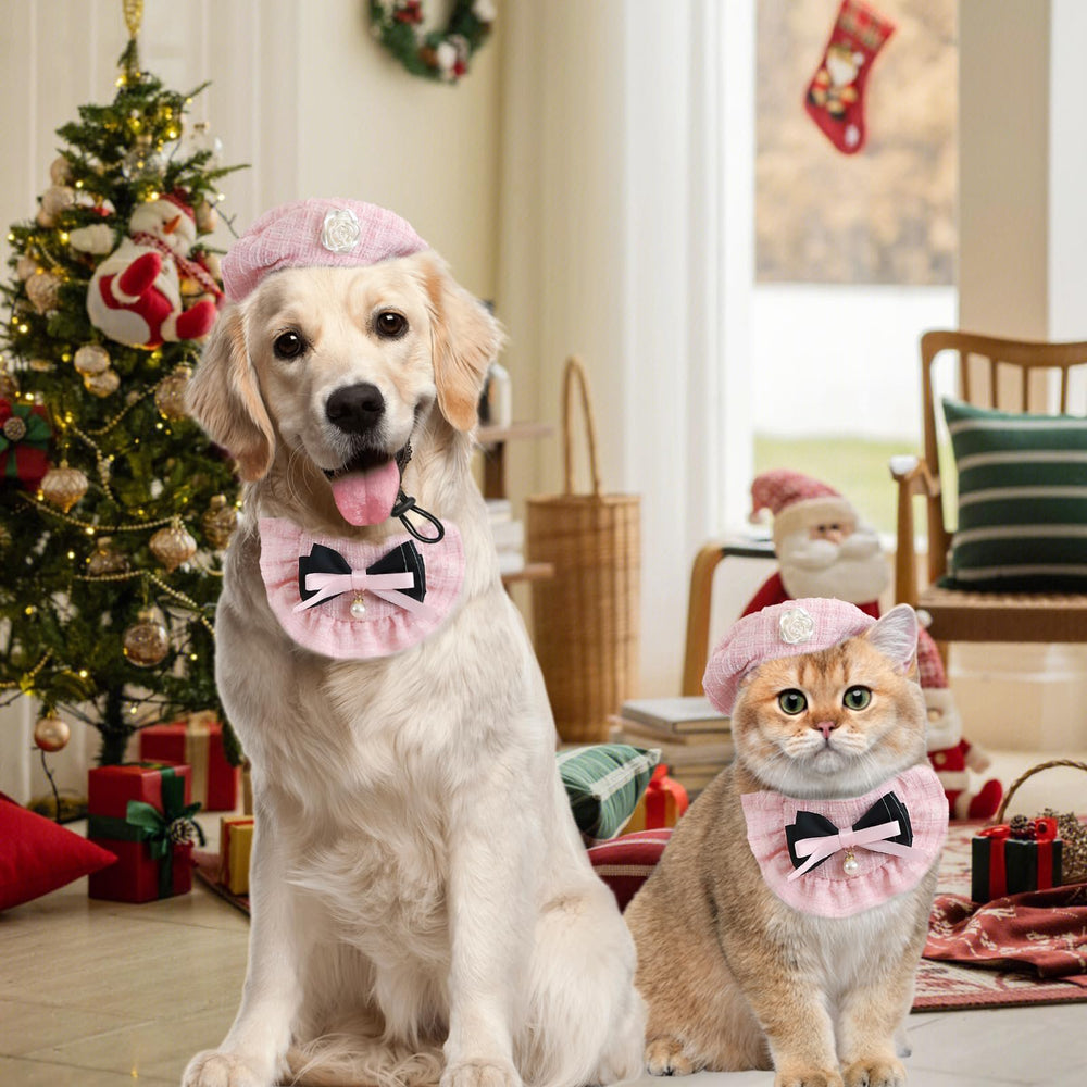 HOWWFALY conjunto festivo para mascotas, ideal para Halloween y Navidad