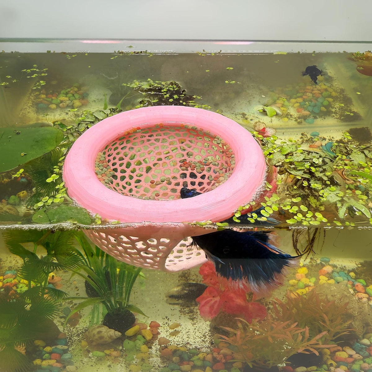 HOZOE caverna flotante rosa: refugio seguro para bettas en el acuario