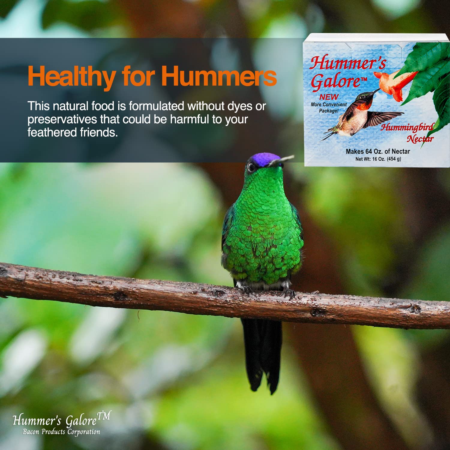 Pack de 3 porciones de Hummer's Galore para energía constante.