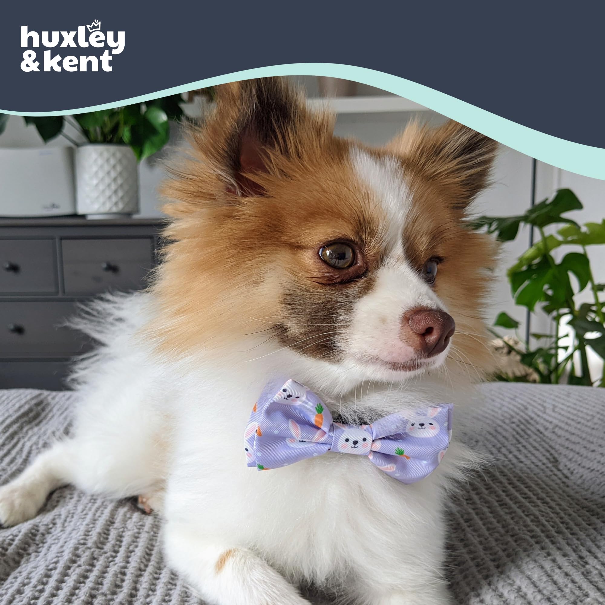 Lazo Huxley & Kent con diseño conejo, perfecto para Pascua.