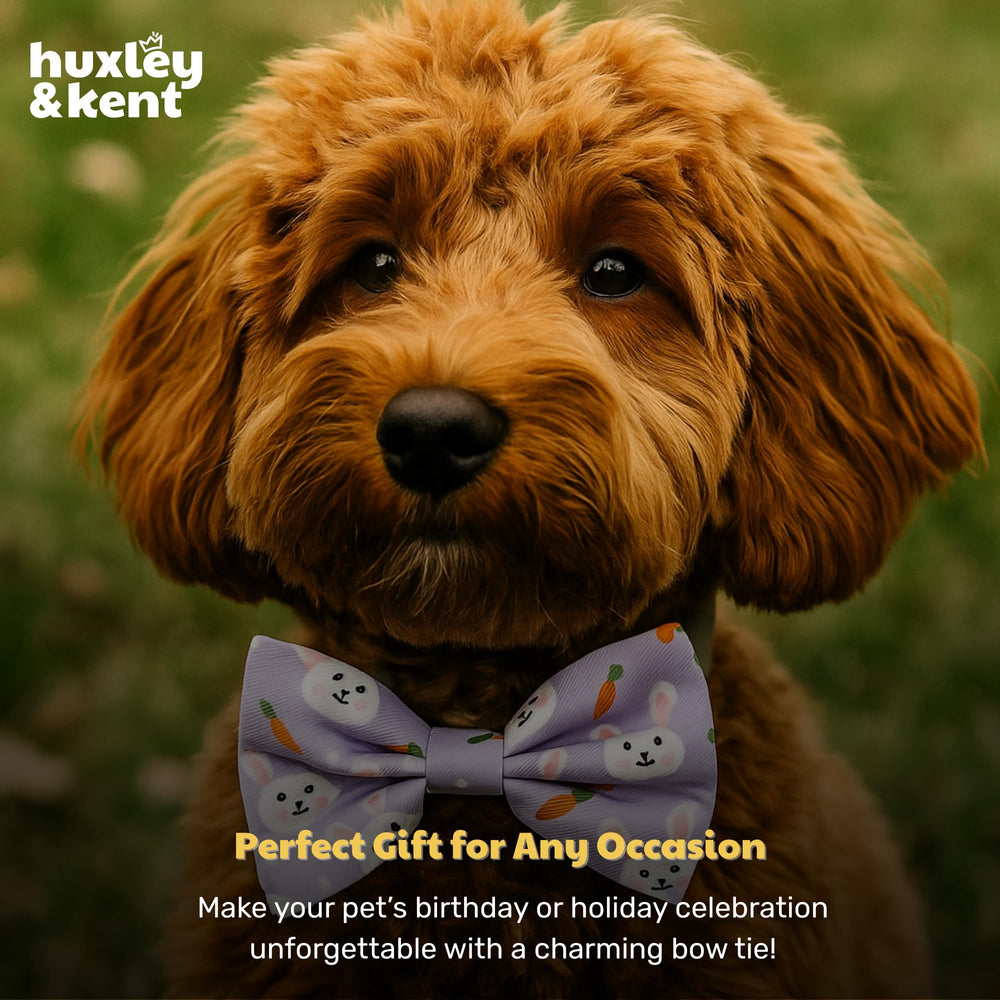 Lazo Huxley & Kent regalo ideal para amantes de mascotas.