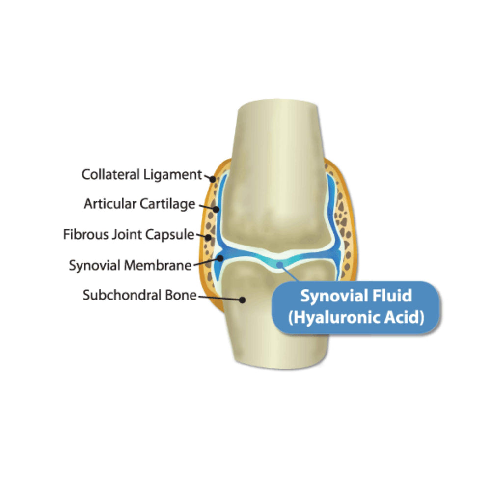 Hyalogic HyaFlex Pro mezcla en comida para facilitar la dosis.