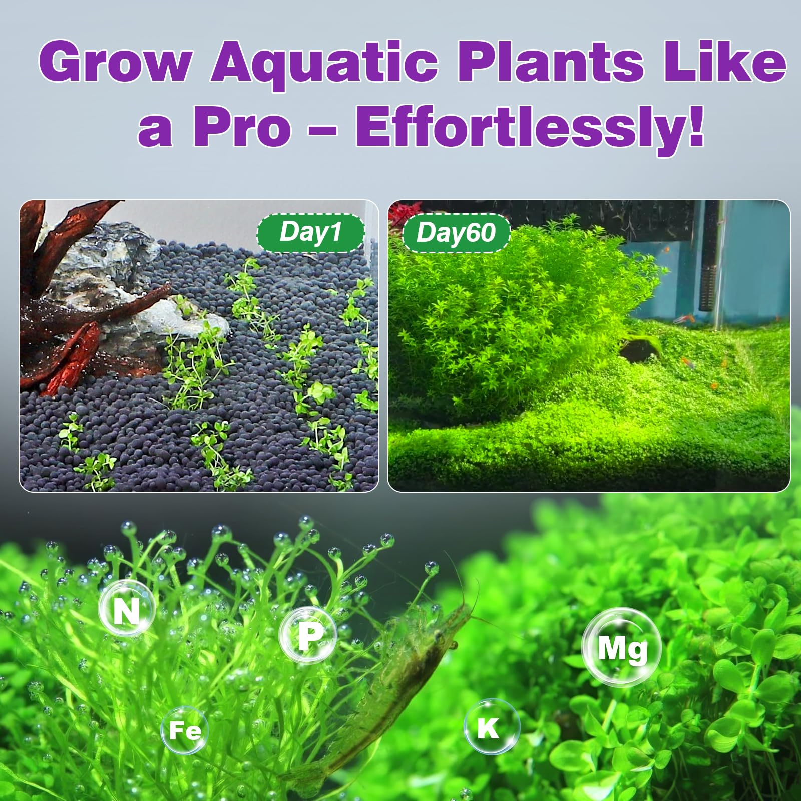 Hygger CO2 crecimiento de plantas en acuario gracias al sustrato nutritivo.