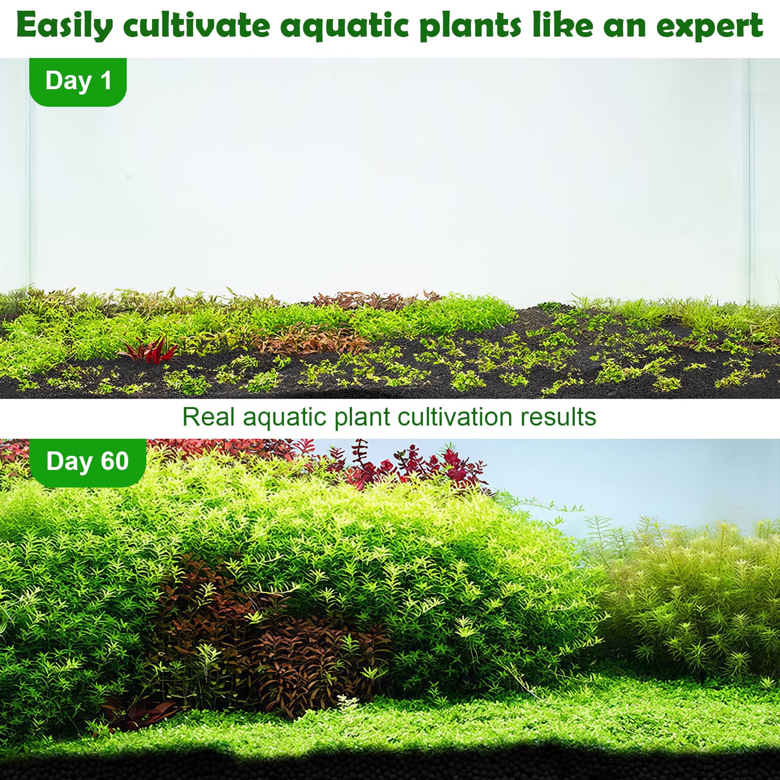 Hygger CO2 instalación fácil, adición simple al acuario.