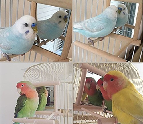 Hypeety escalera de madera para pajaro, añade desafio fisico