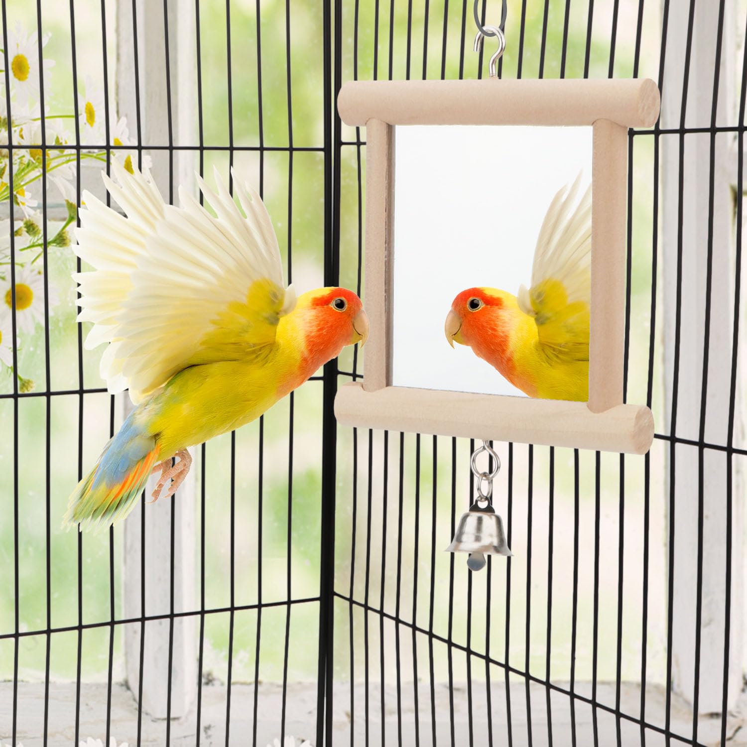 Espejo interactivo Hypeety para aves, ayuda a mantener al loro entretenido
