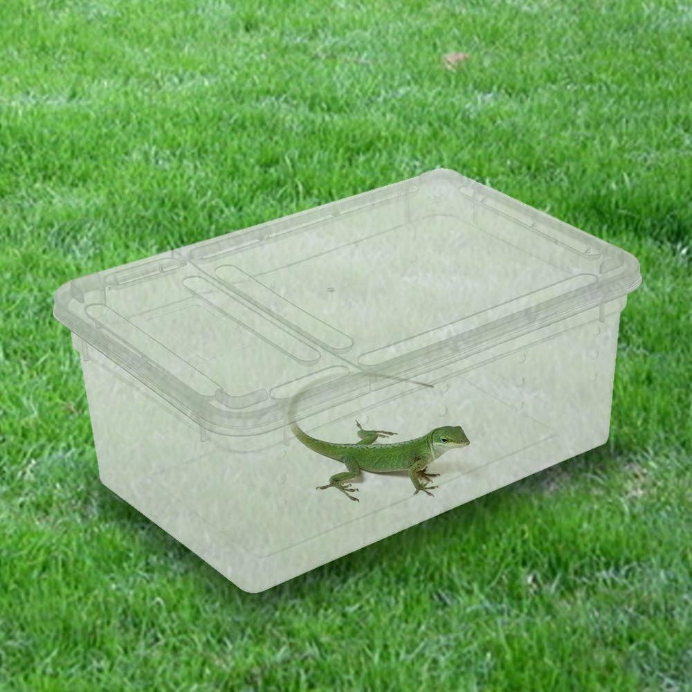 Uso versátil Hypeety para reptiles pequeños y mascotas en casa.