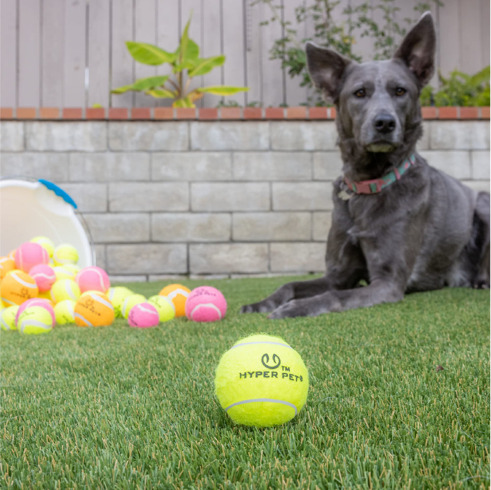 Hyper Pet bolas tenis para perros, bolsa de malla incluida para transporte práctico.