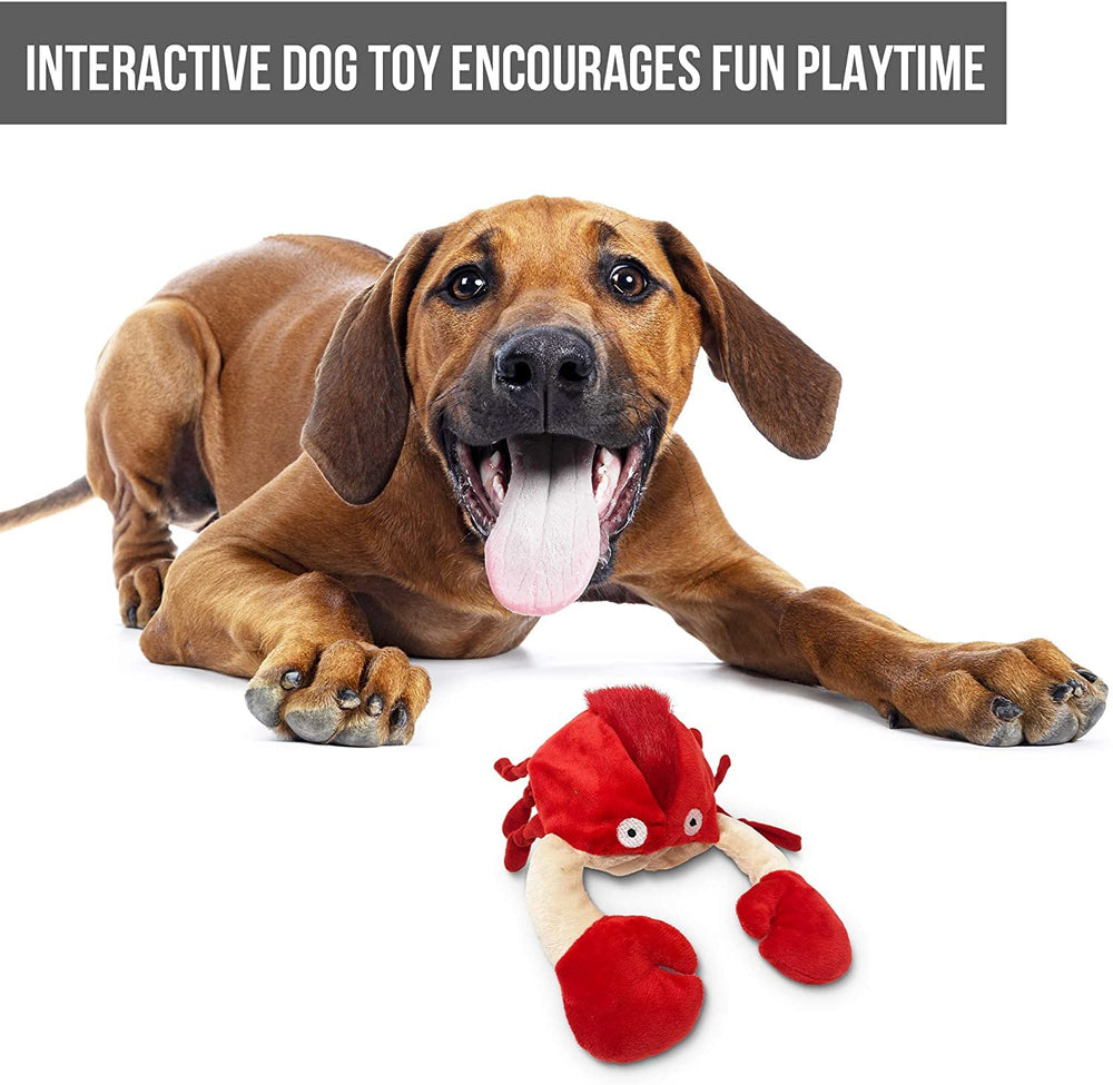 Hyper Pet Doggie Pal sonidos divertidos para perros activos