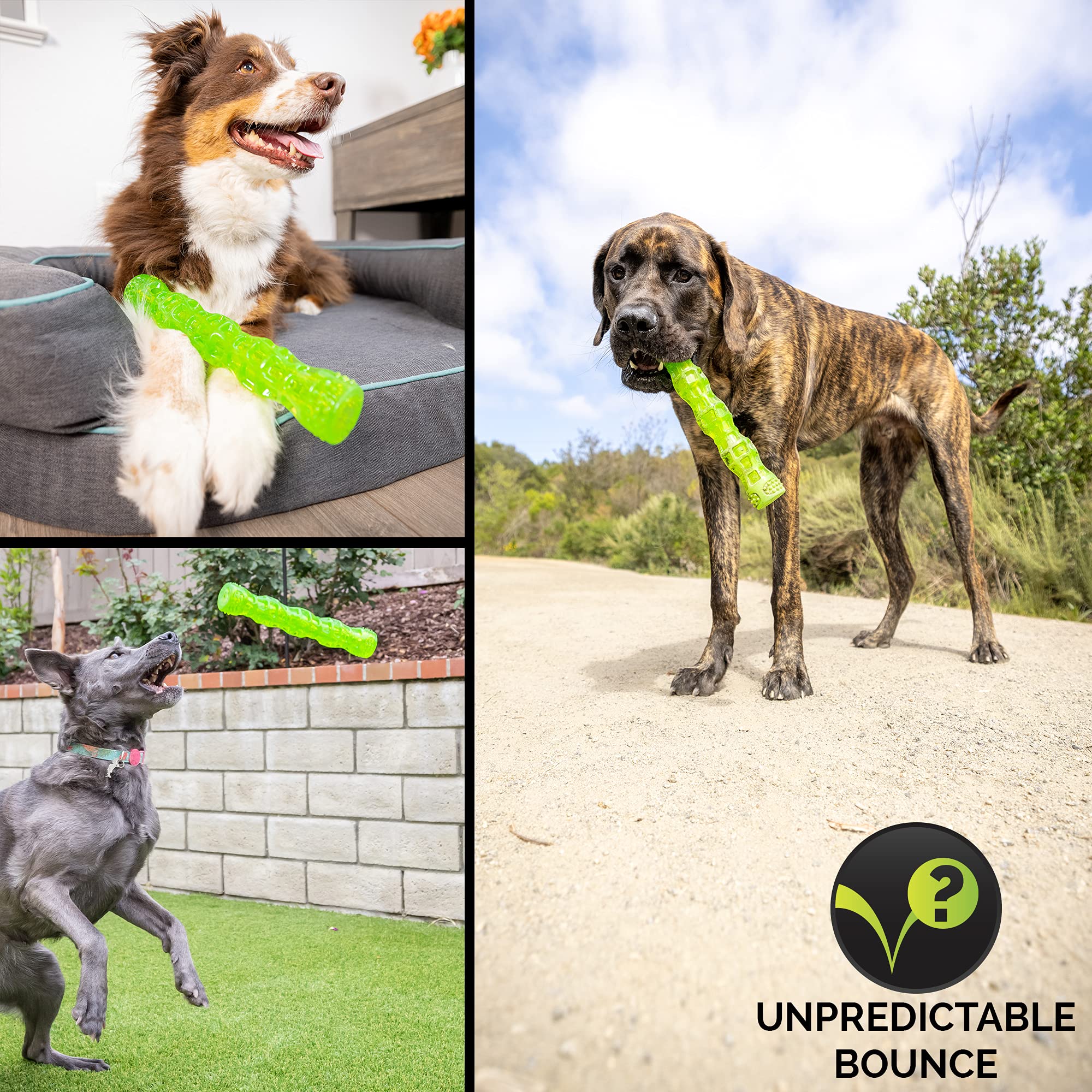 Hyper Pet Dura-Squeaks Palo Perro Para Piscina: ideal para nadar y buscar en el agua