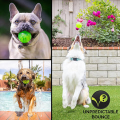 Hyper Pet DuraSqueak, diámetro de 2.5 pulgadas para perros.
