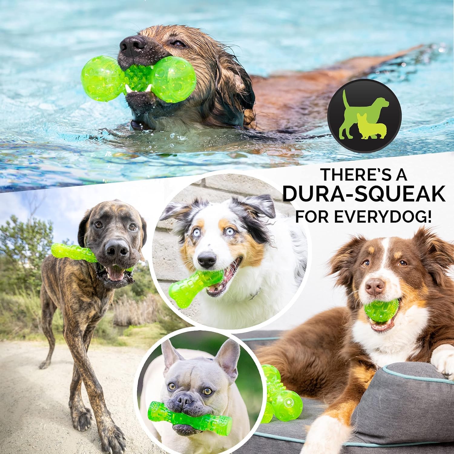 Hyper Pet DuraSqueak, fácil de limpiar para uso diario.