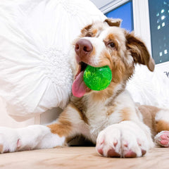 Hyper Pet DuraSqueak, bola flotante de color verde para piscinas.