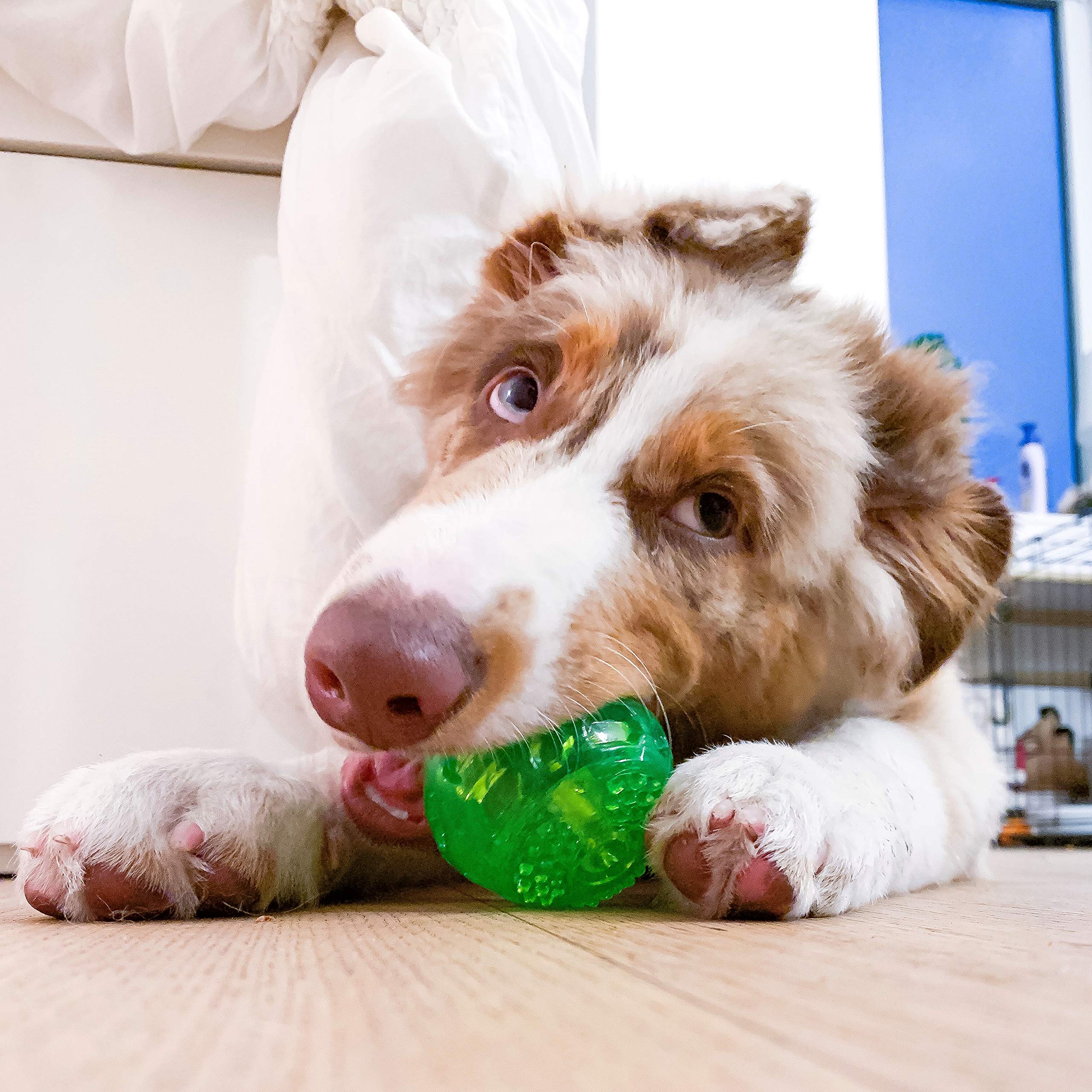 Hyper Pet DuraSqueak bola de fácil limpieza frente a pelotas comunes