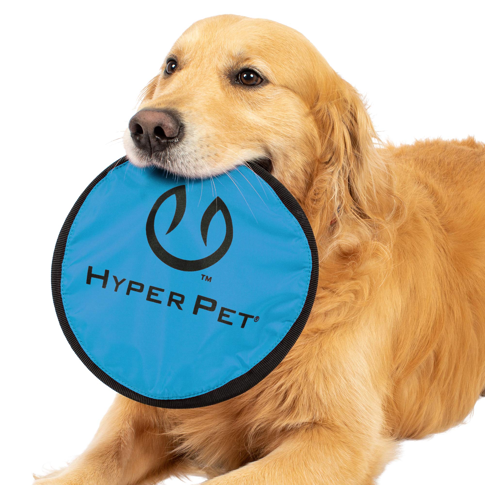 Hyper Pet Flippy Flopper diseño ligero para lanzamientos largos y diversión al aire libre.