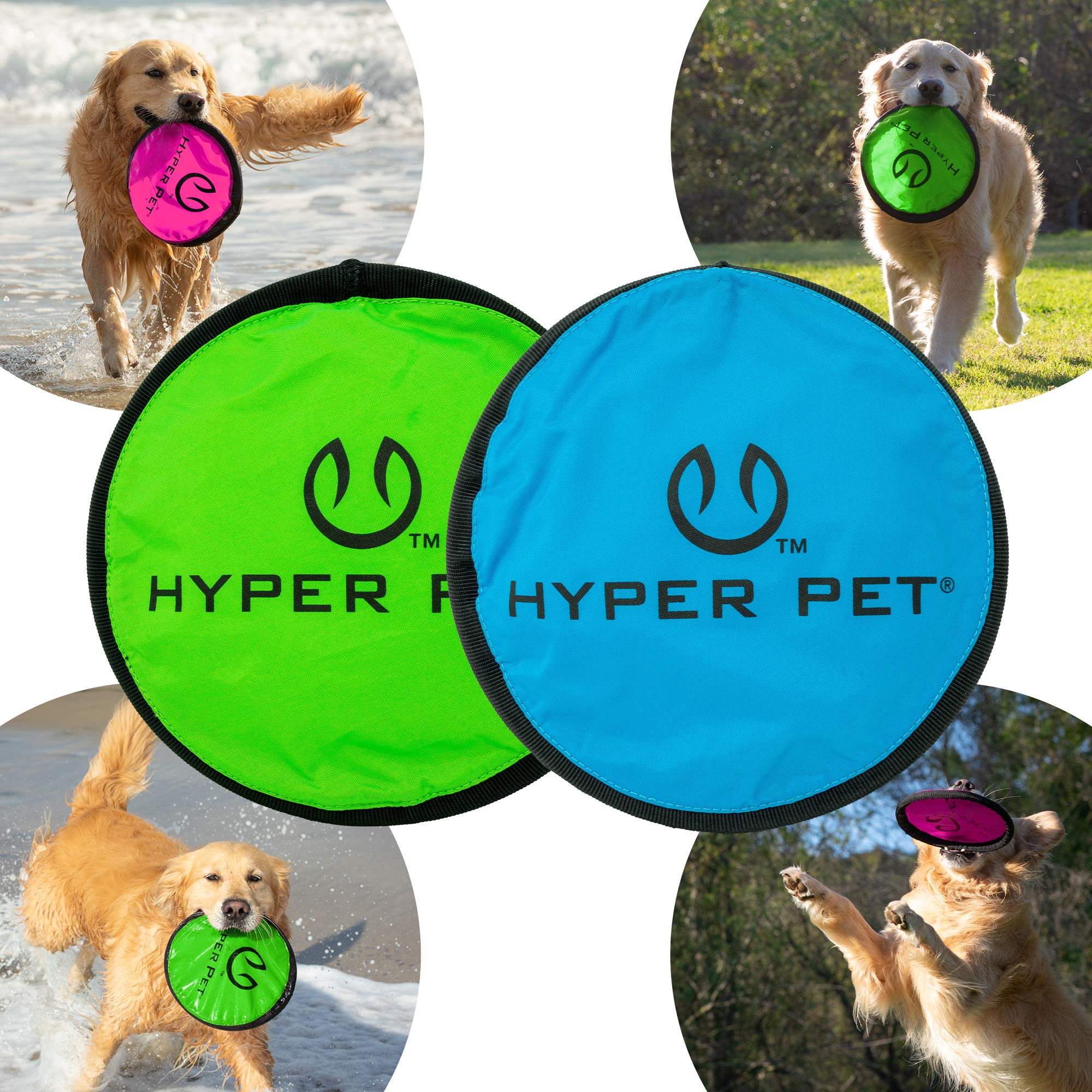 Hyper Pet Flippy Flopper dos discos para sesiones continuas.