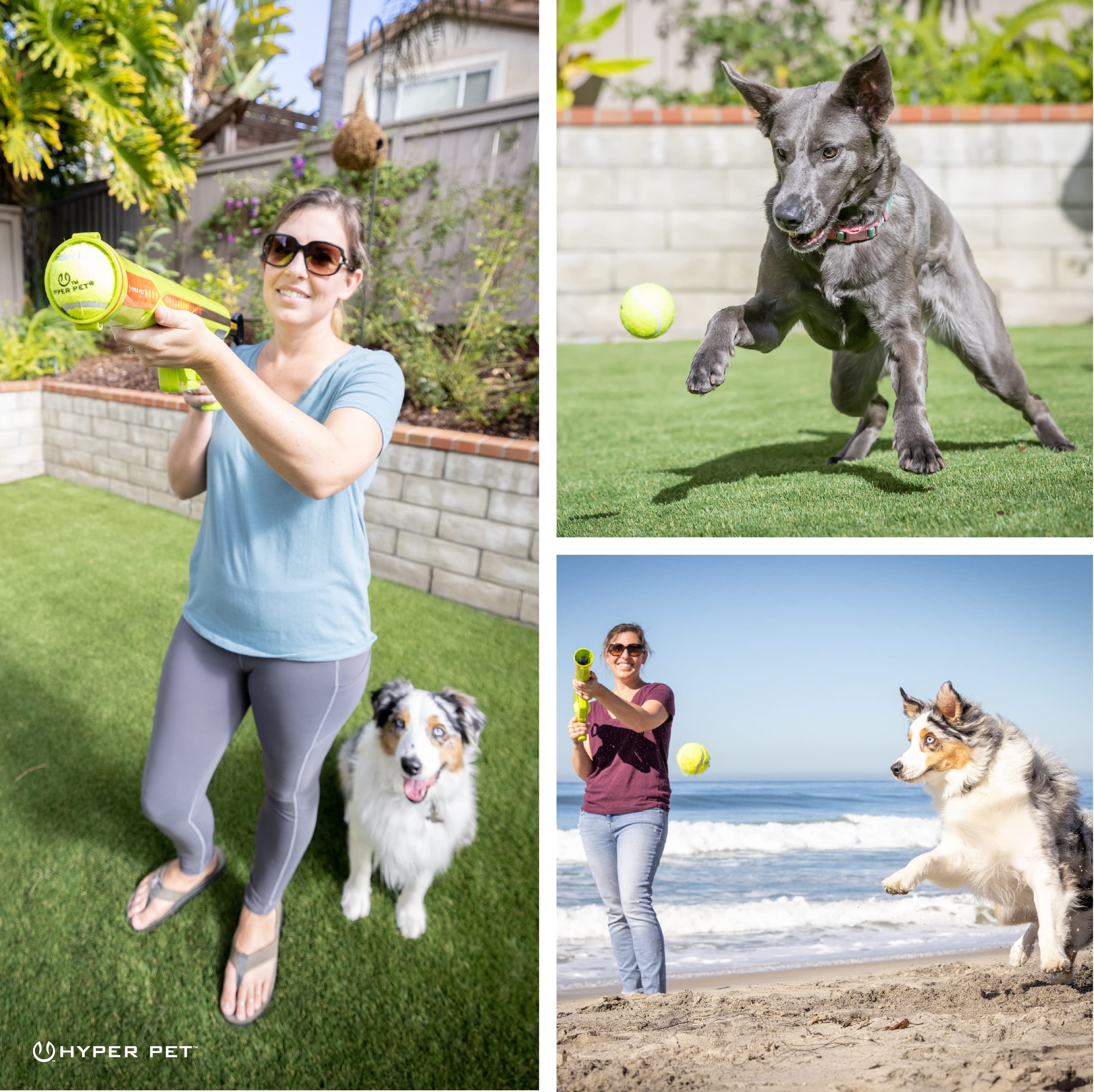 Hyper Pet K9 Kannon: diseño ergonómico facilita su uso