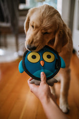 Hyper Pet Juguete búho, interactivo para juego activo
