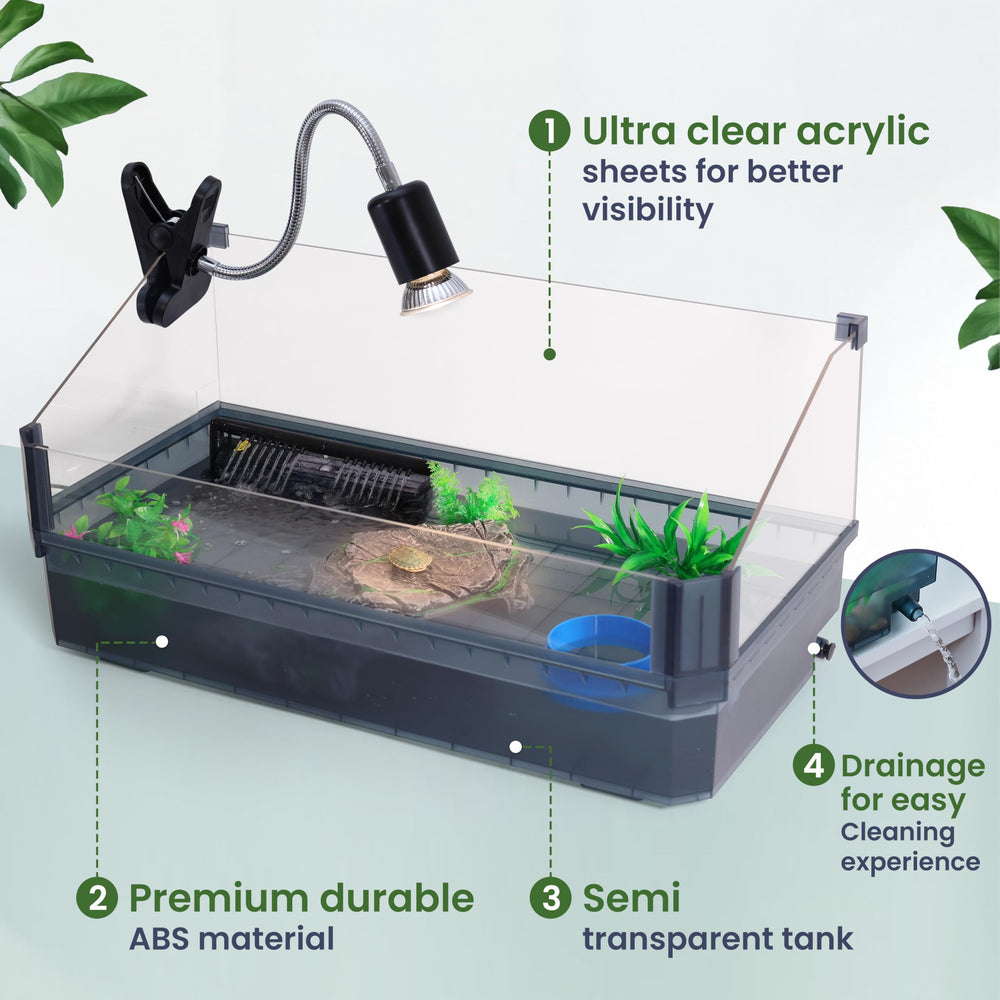 Plataforma de reposo en el tanque HYPESIDE para tortugas, zona de calentamiento.