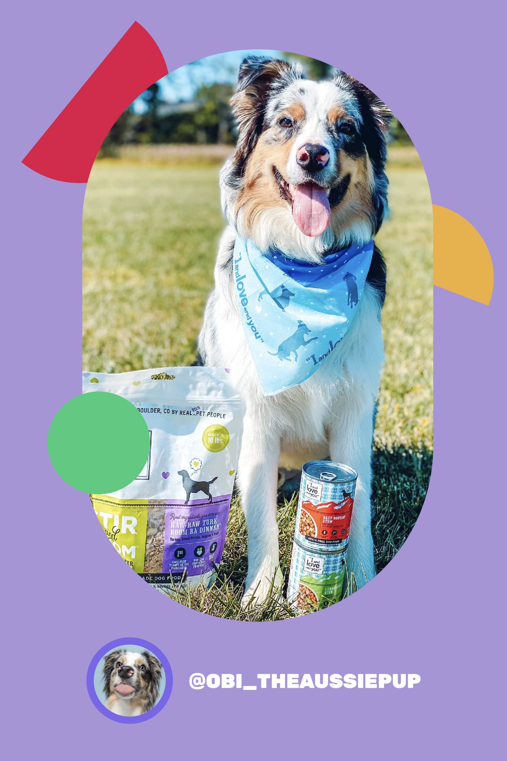 I AND LOVE AND YOU pack de 6 latas para variar cada comida.