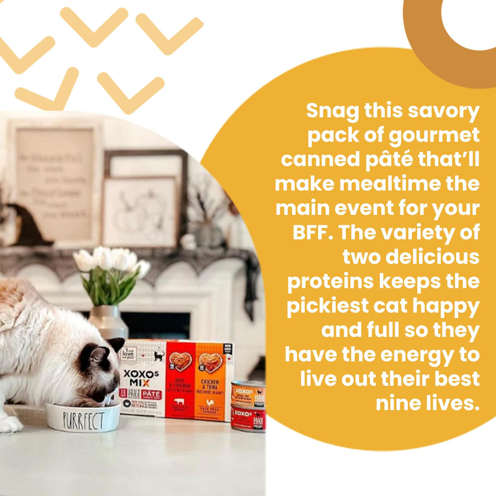 I AND LOVE AND YOU XOXOs sin granos, opción sin cereales para gatos.