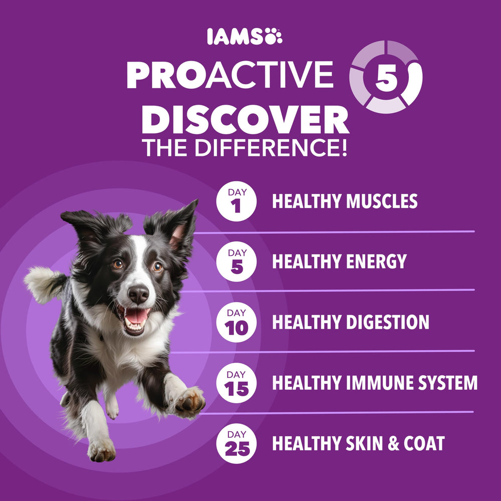 IAMS Advanced Health, croqueta con textura agradable para perro activo.