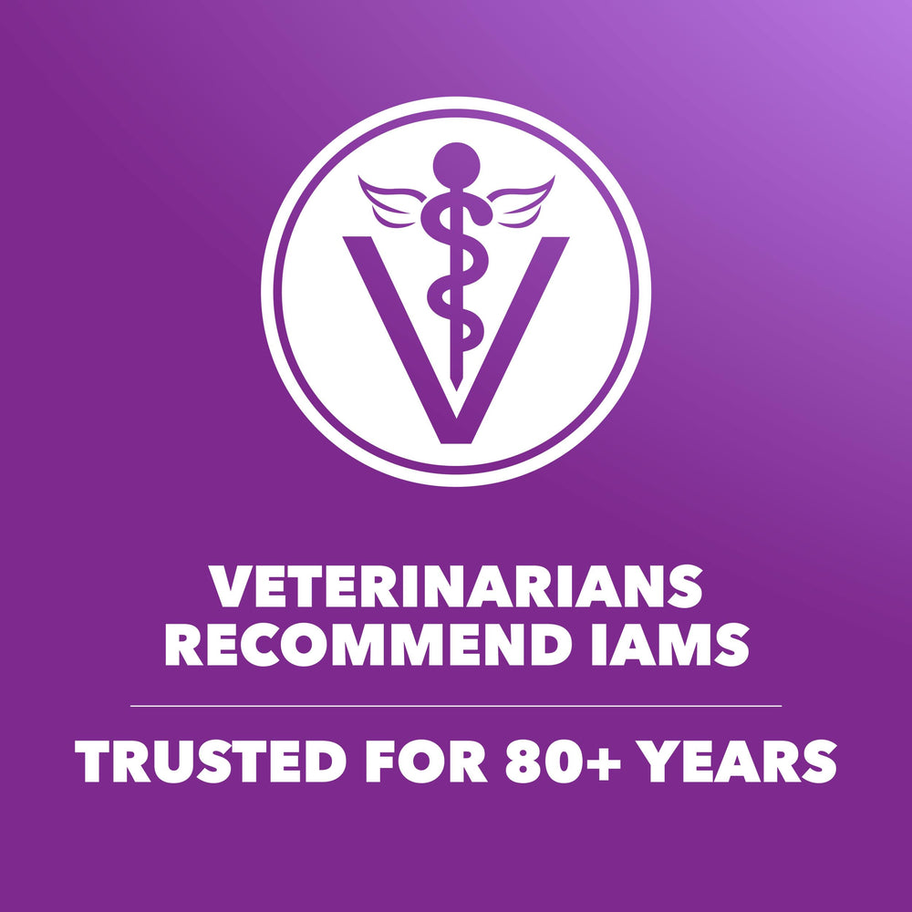 IAMS Salud Digestiva Avanzada, energía diaria gracias a nutrientes esenciales.
