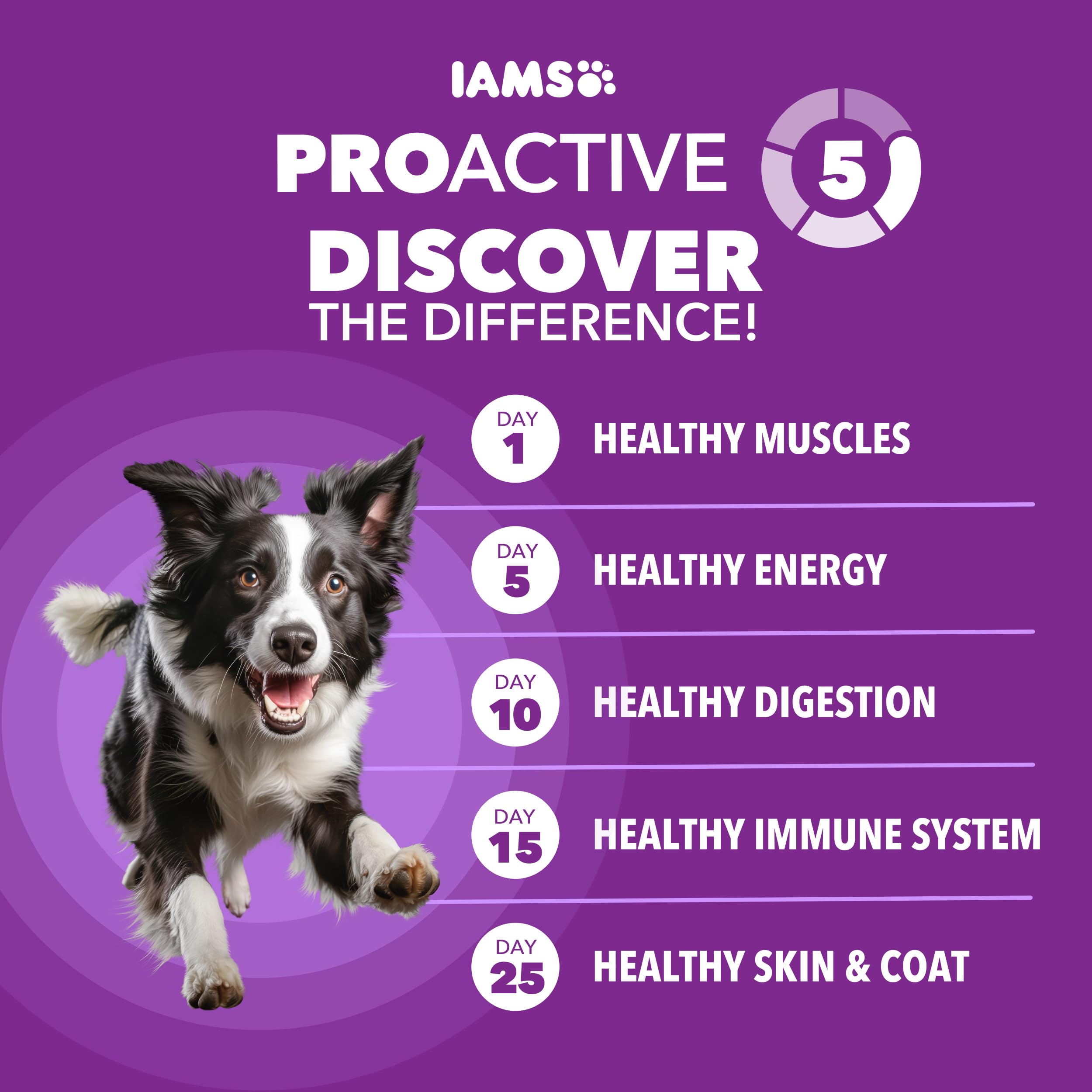 IAMS Salud Digestiva Avanzada con prebioticos y fibra natural para regularidad.