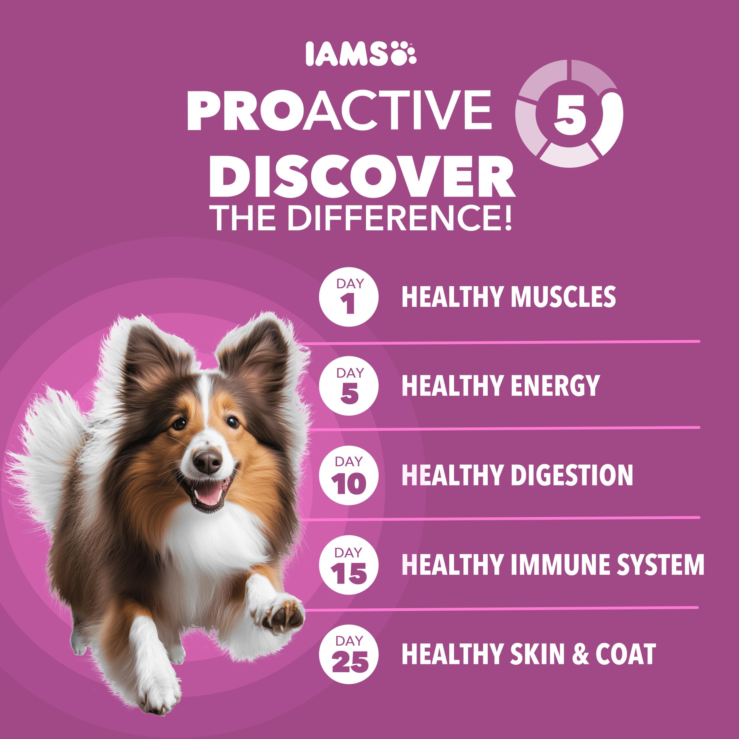 Bolsa de 15 libras de IAMS Proactive Health, conveniente para grandes perros.