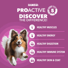 Bolsa de 15 libras de IAMS Proactive Health, conveniente para grandes perros.