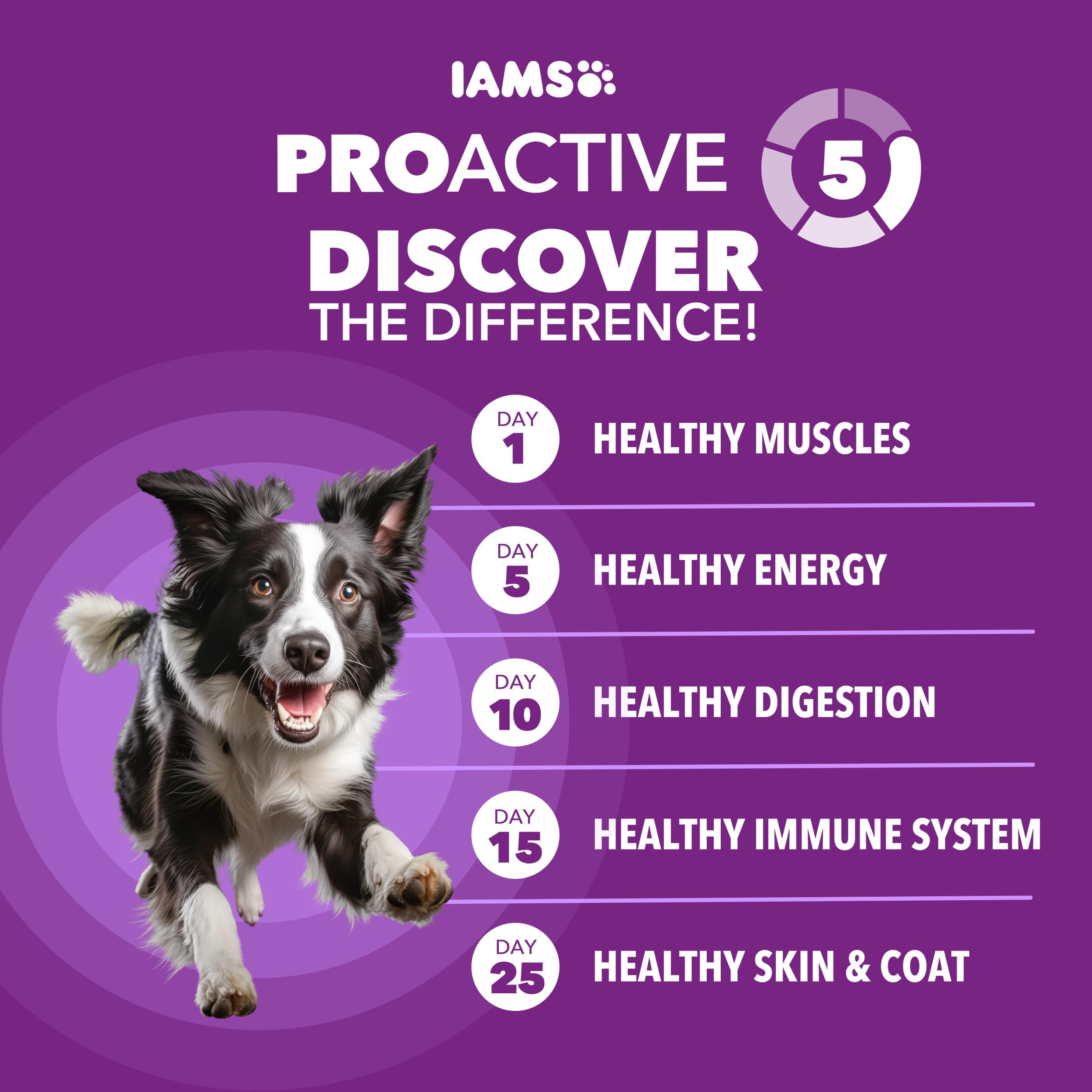 IAMS croquetas con pollo real resaltan sabor y energía para perros activos.