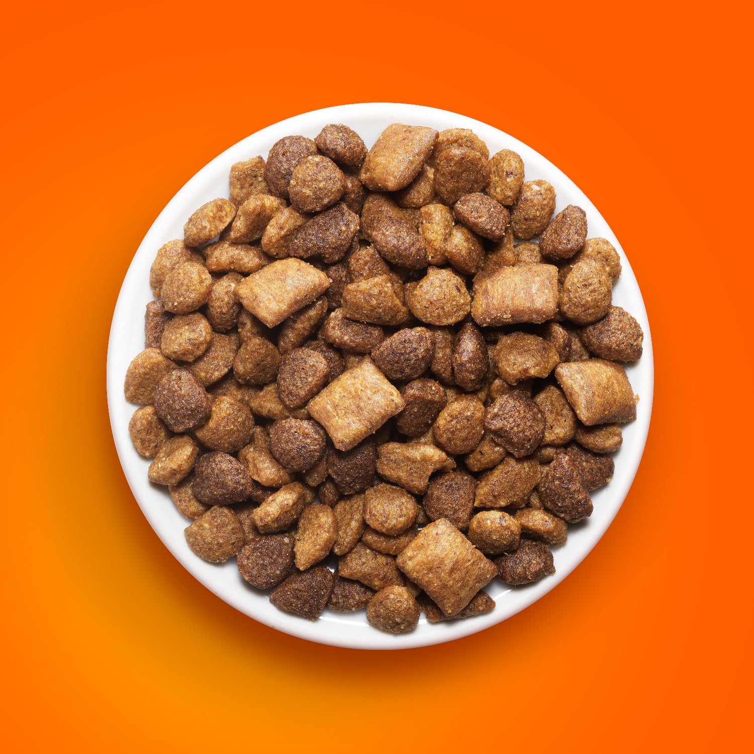 Gato disfruta de una nutrición equilibrada con IAMS.