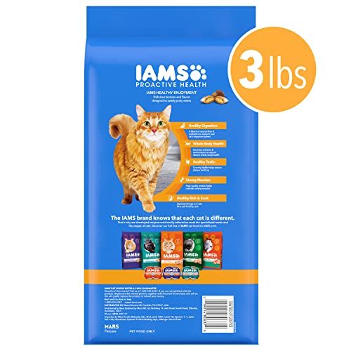 IAMS Healthy Enjoyment bolsa de 3 libras para gatos