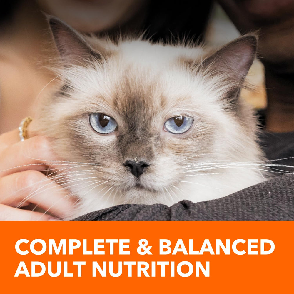 Proteína de alta calidad: pollo y huevo en IAMS Healthy Enjoyment.