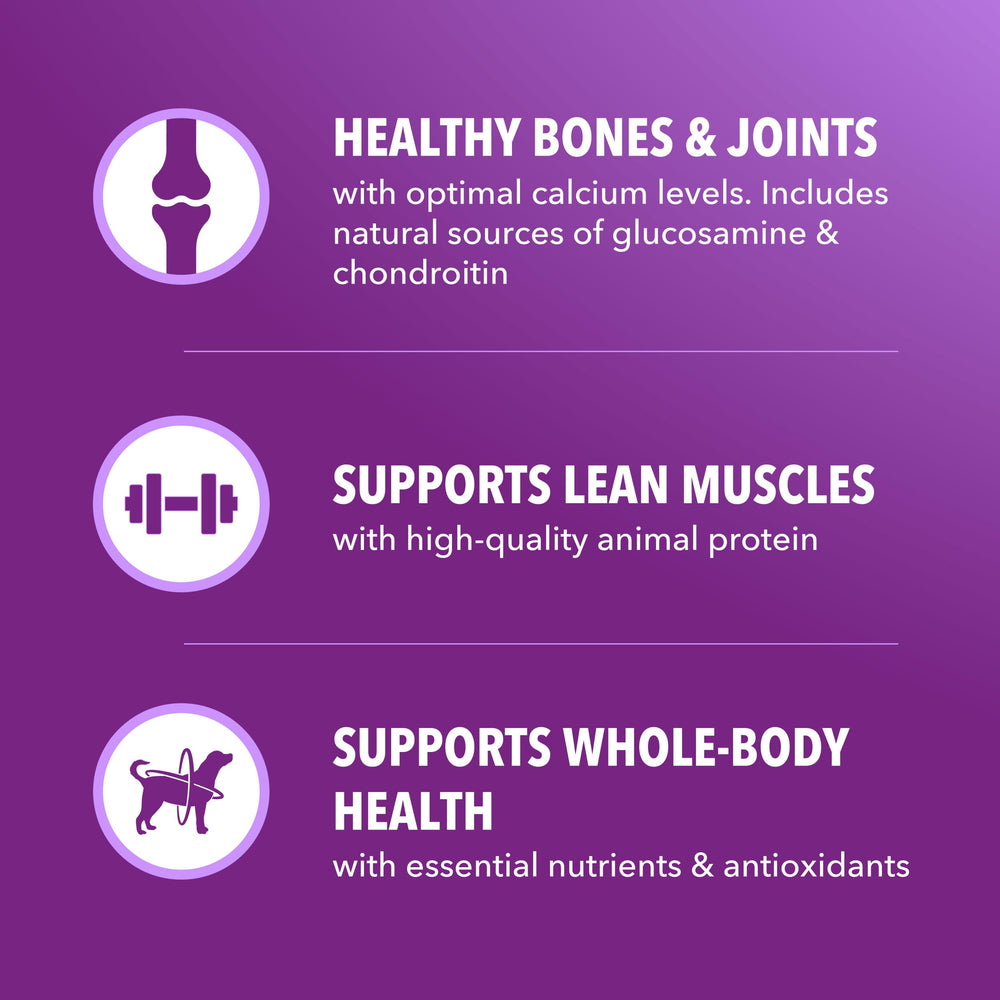 IAMS l-carnitina ayuda a mantener un peso equilibrado para menos tensión articular.